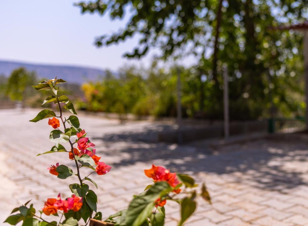 Agach Aparts-Savran Milas Exterior foto